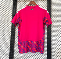 Mexico 2026 Pink Jersey